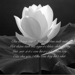 Meet your Posher, Johnny